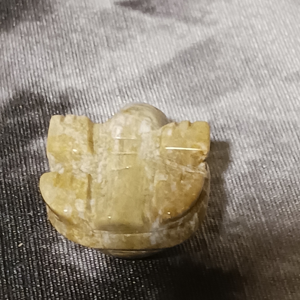 Crystal Turtle - Picture 5 of 8